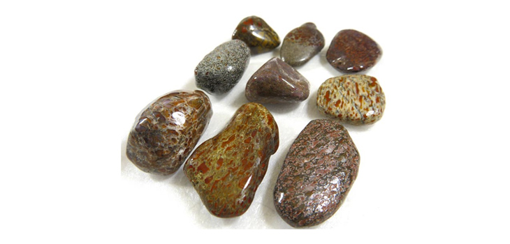 Динобон: Значение и магические свойства камня